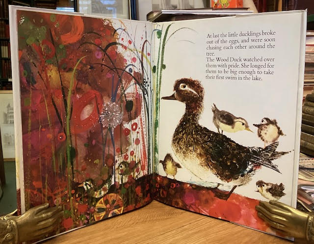 The Little Wood Duck