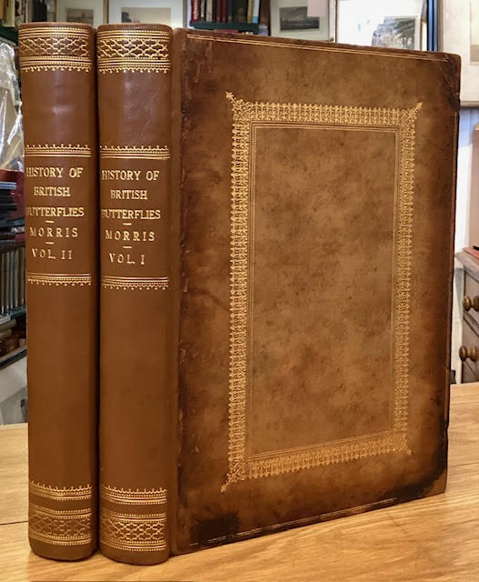 A History of British Butterflies [Two volumes]