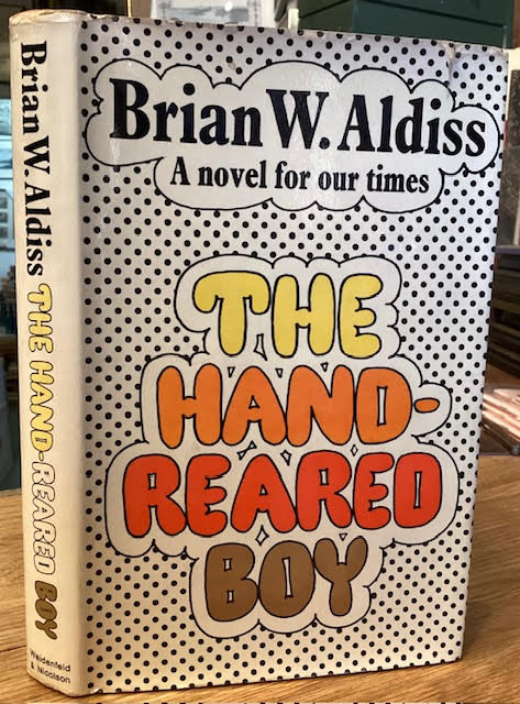 Image for The Hand-Reared Boy The Hand-Reared Boy