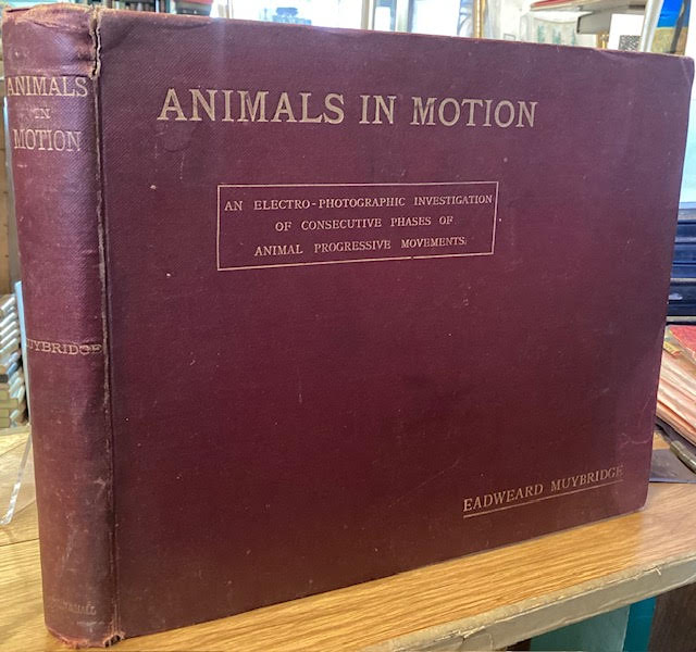 Animals in Motion: An Electro-Photographic Investigation of Consecutive Phases of Animal Progressive Movements