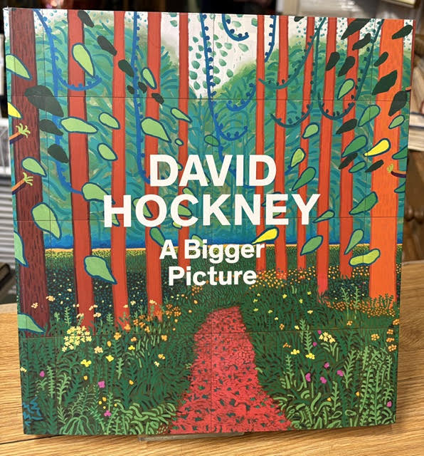 David Hockney : A Bigger Picture