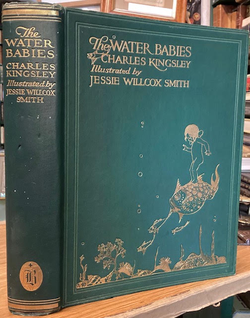 Image for The Water Babies The Water Babies